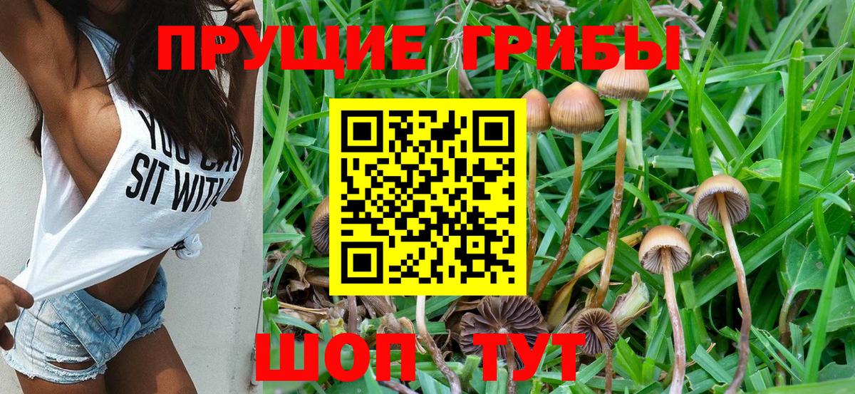 Химки  Галлюциногенные грибы Psilocybe  Псилоцибиновые грибы Psilocybe  Вход с VPN 