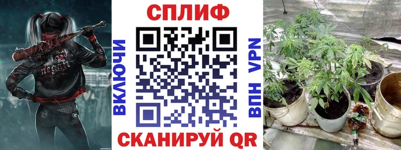 Бошки Шишки планчик  Химки 